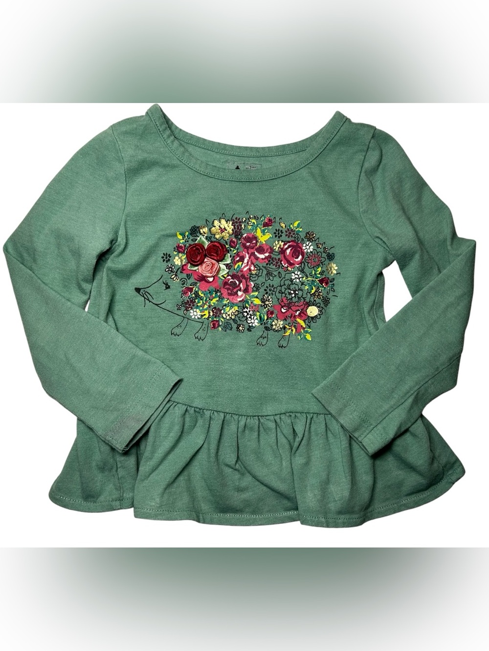 Baby Gap Girls Green Long Sleeve Peplum Top W/ Graphic Floral Hedgehog Size 2Yrs